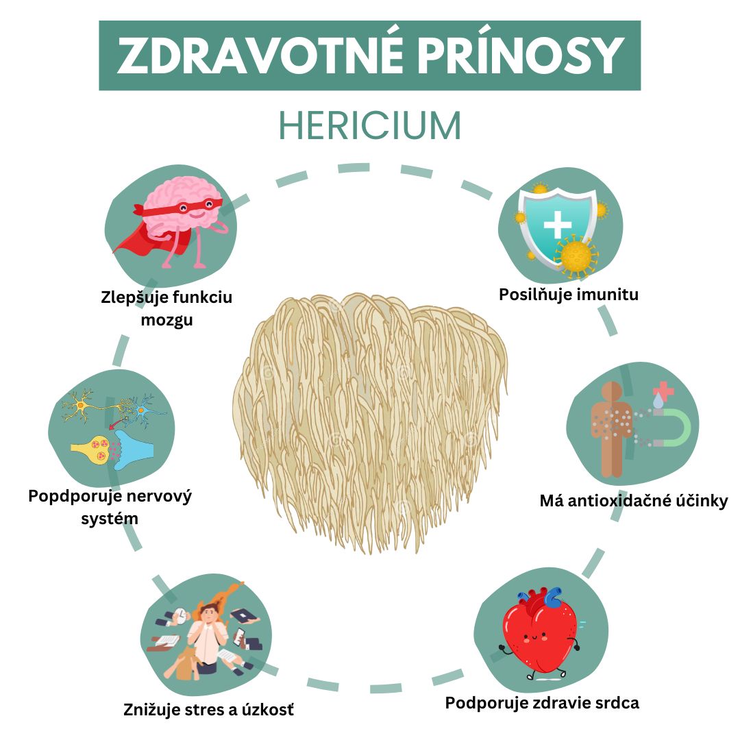 Zdravotné prínosy Hericia